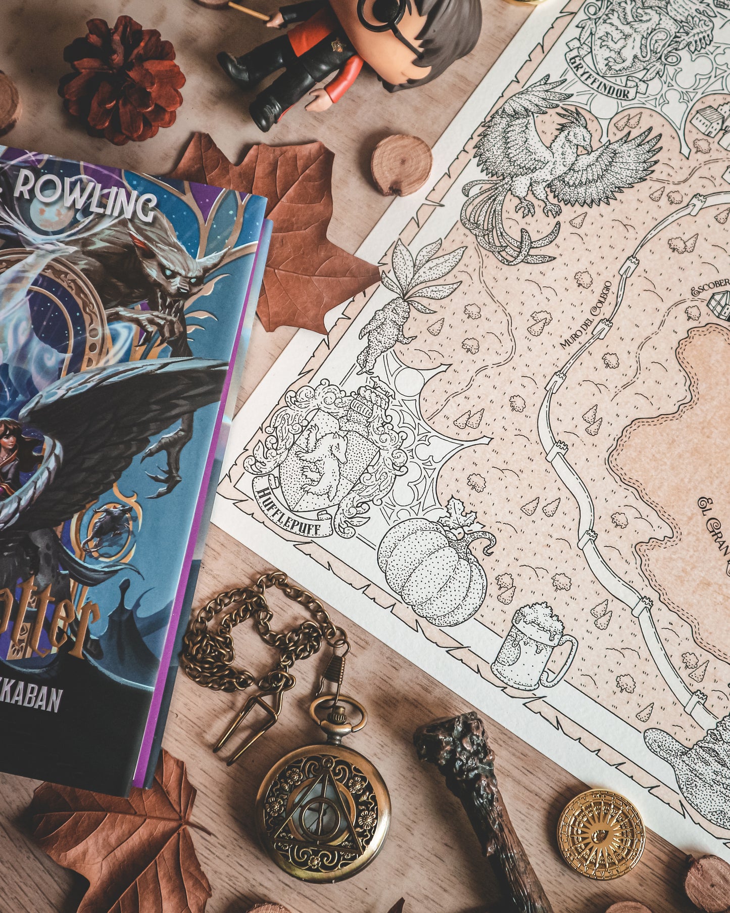 HOGWARTS - Mapa del mundo de HARRY POTTER