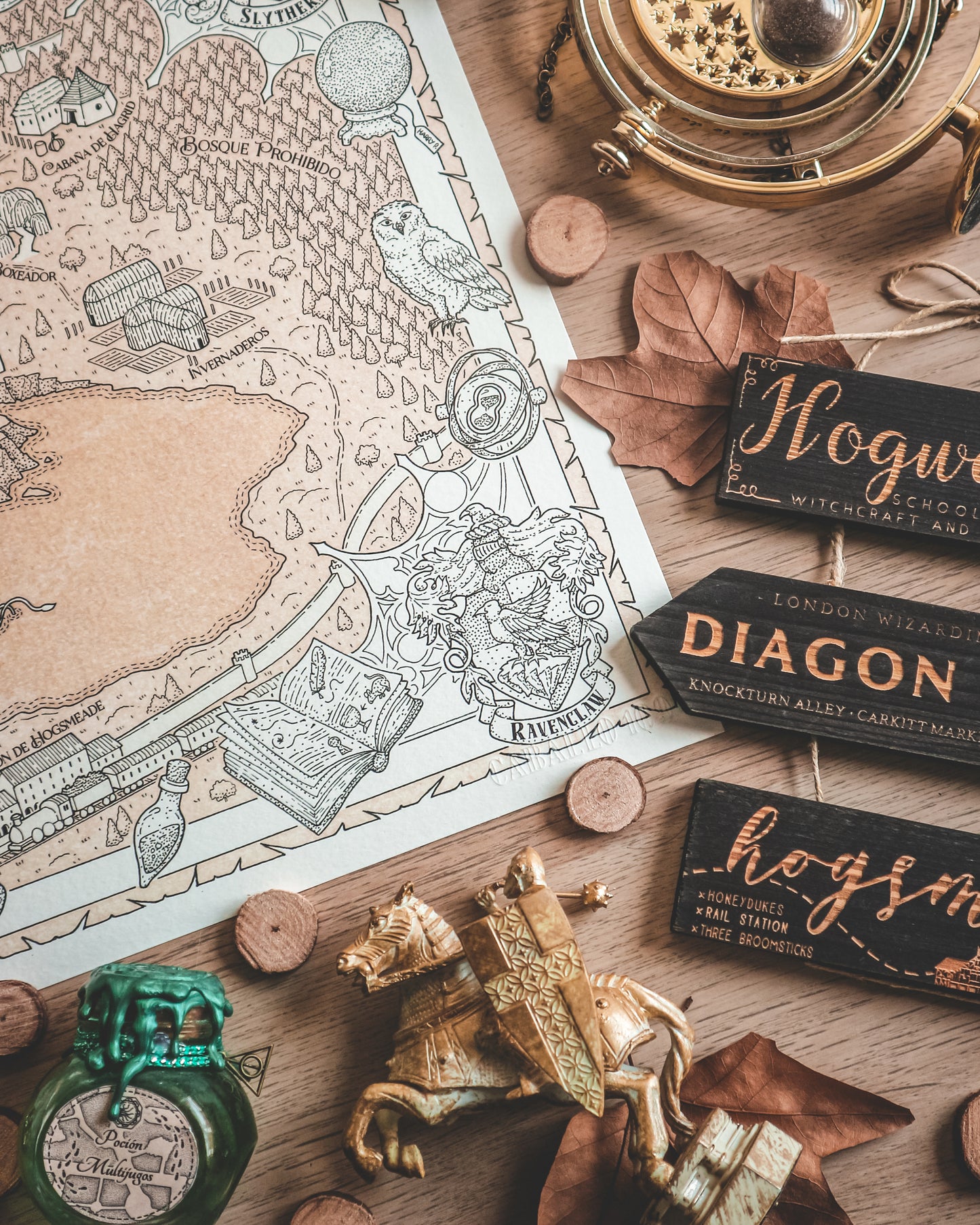 HOGWARTS - Mapa del mundo de HARRY POTTER