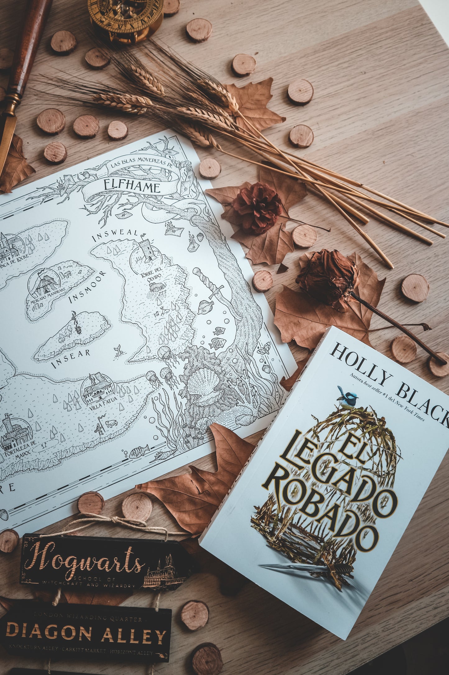 ELFHAME - Holly Black World Map
