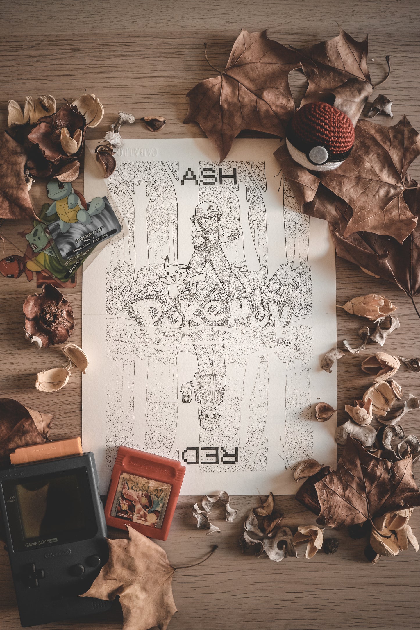 Pokémon - Ash and Red